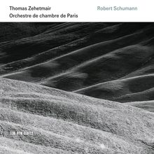 Violinkonzert / Symphonie Nr. 1